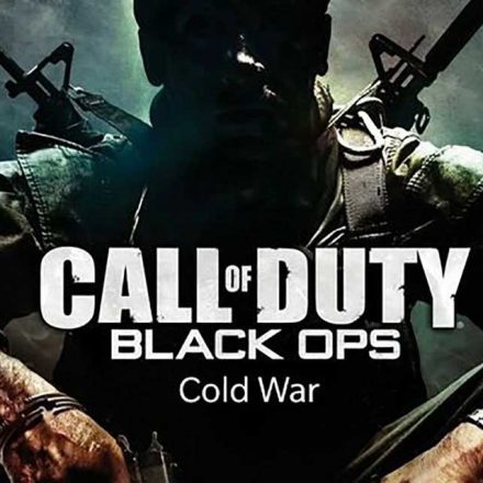 Understanding the Basics of Call of Duty Black Ops Cold War Game